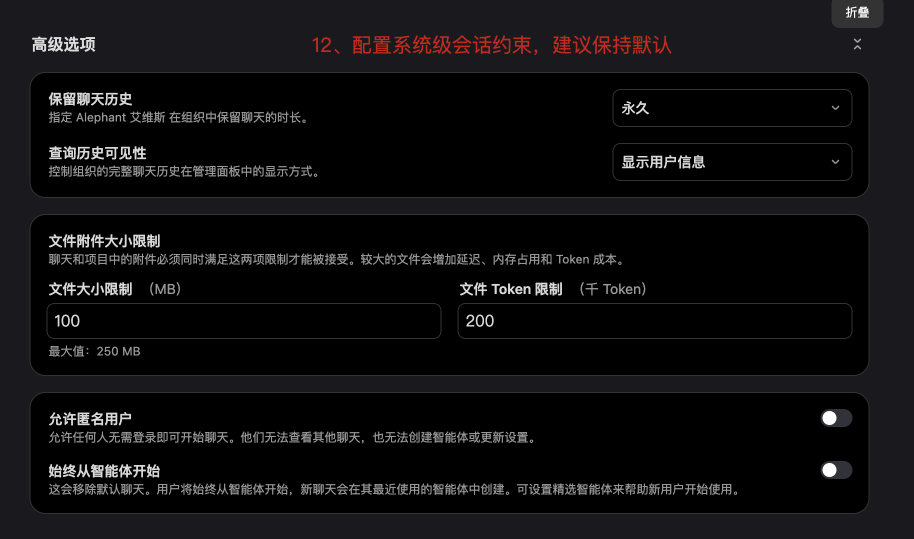 聊天偏好设置高级选项配置聊天历史文件附件限制和访客设置