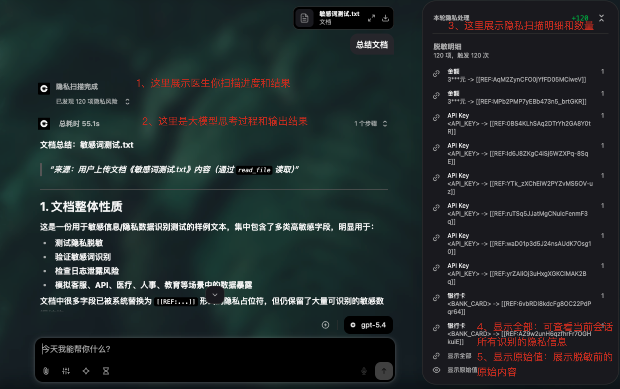 隐私防护处理展示扫描进度输出结果脱敏明细和原始值查看入口